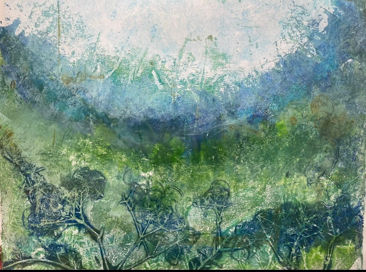 MICRORGANISMI EFFETTIVI